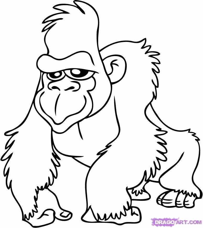 Plansa de colorat cu Gorilla 20 13